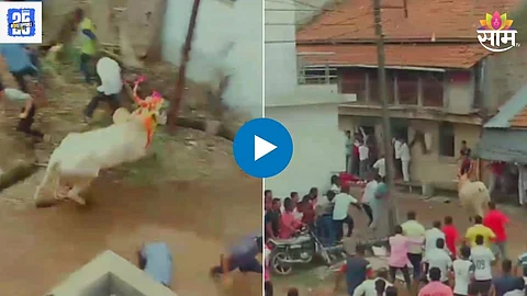 Bull escapes during Bendur procession