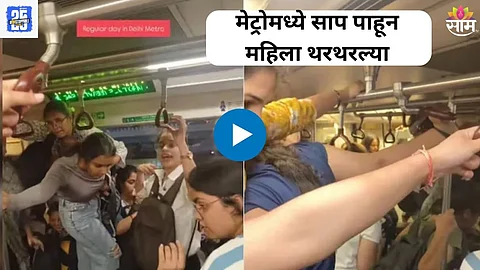 Snake Inside Delhi Metro