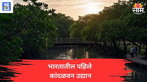 Mangrove Park In Mumbai