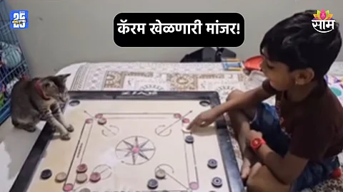 पुण्यात काहीही होऊ शकते, चक्क मांजर खेळतेय कॅरम; VIDEO पाहून तुम्हीही व्हाल चकीत