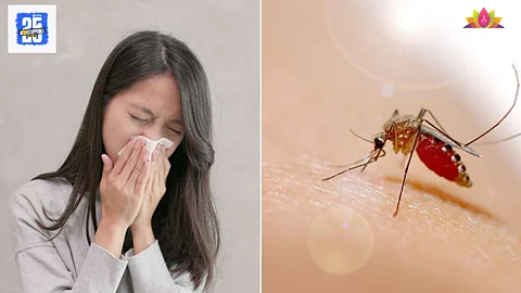 Dengue symptoms monsoon