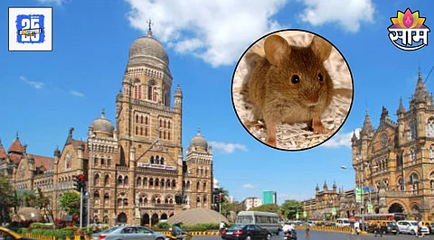 BMC Scam