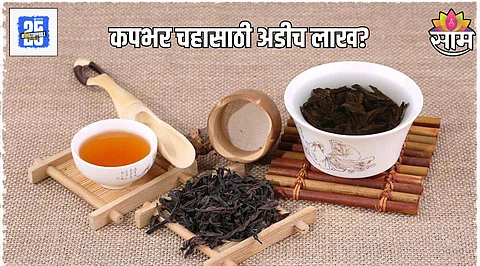 worlds most expensive tea da hong pao