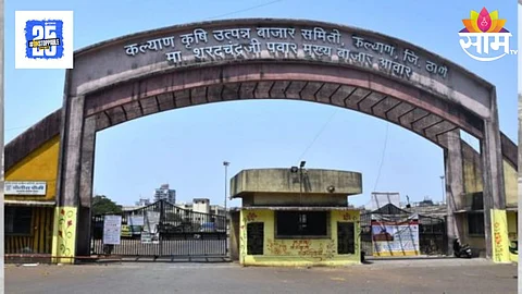 Kalyan : कल्याणमध्ये मविआ महायुतीमध्ये सामना; १८ जागांसाठी मतदान, विजयाचा गुलाल कोण उधळणार ?