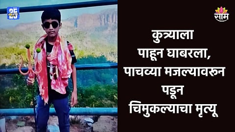 Nagpur: कुत्र्याला पाहून घाबरला, पळताना ५ व्या मजल्यावरून पडला; १२ वर्षांच्या मुलाचा मृत्यू