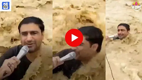 Viral Journalist Video