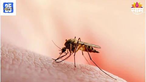 Malaria Vaccine In India