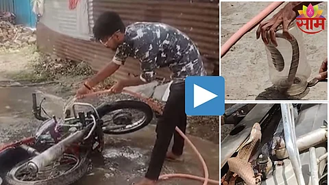 Viral News