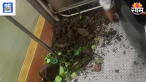 Mumbai Local Train: