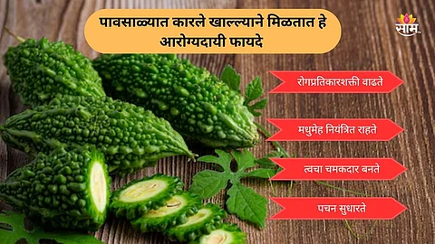 Bitter gourd for monsoon health