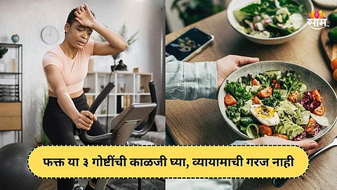 Weight loss tips for busy lifestyle