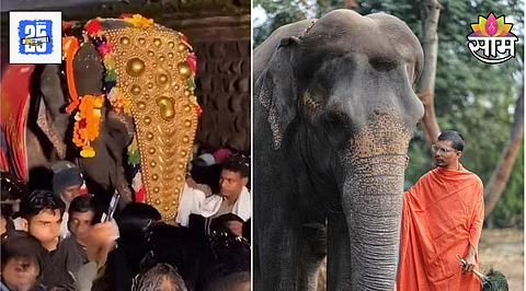 Mahadevi Elephant