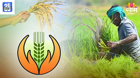 Crop Insurance