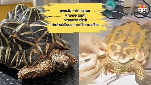 India’s first laparoscopic egg-binding surgery