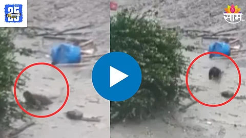 Uttarkashi Cloudburst New Video