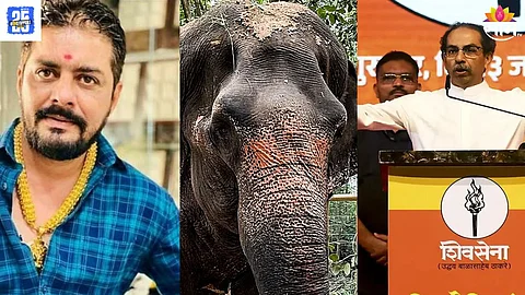Hindustani bhau and Madhuri elephant news