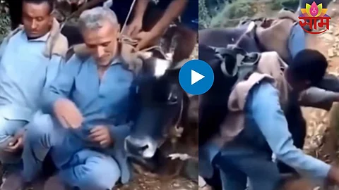 Viral Video