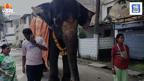 Gauri Elephant sangli