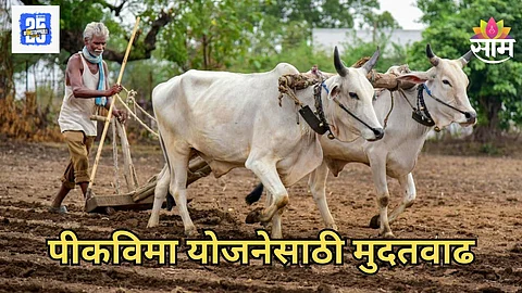 Pik Vima Yojana