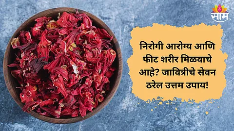 javitri helps boost metabolism and control appetite
