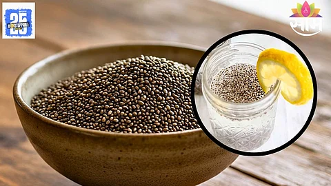 Chia Seeds Side Effects