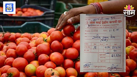Tomato Price