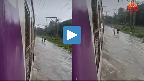Viral Video