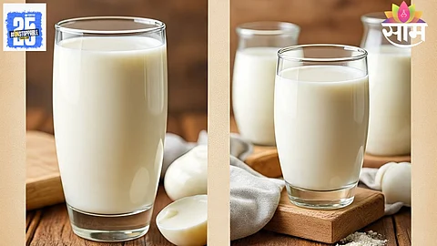 buffalo milk for weight gain