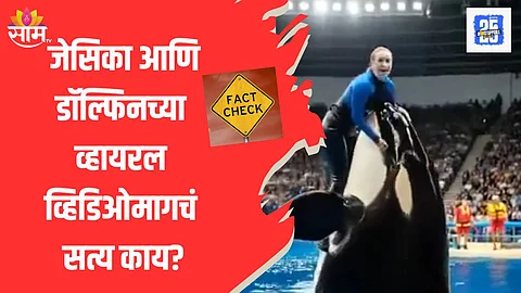 जेसिकाला डॉल्फिननं खाल्लं, काय आहे व्हायरल व्हिडिओमागचं सत्य?
