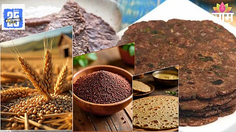 weight loss diet