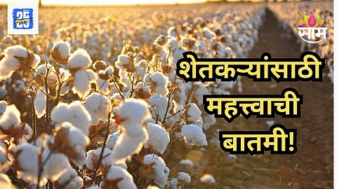Governement Decision