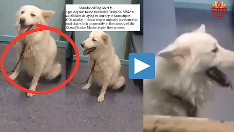 Viral Video