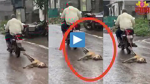 Viral Video