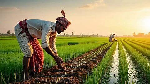 Pm Kisan Yojana