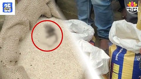 Solapur Family Finds Dead Snake In Ration Rice