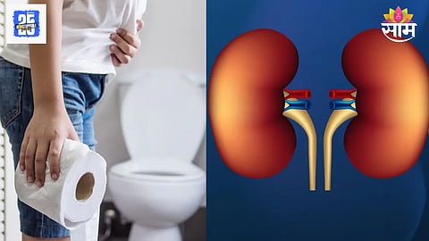 Kidney function and urine
