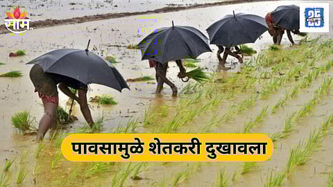 Marathwada Farmer
