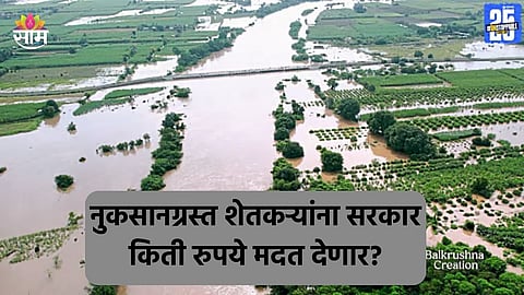 घरे- शेतीचं नुकसान आणि जनावरांचा मृत्यू, सरकार शेतकऱ्याला किती रुपये मदत देणार? वाचा सविस्तर