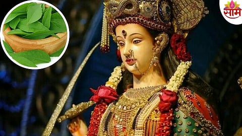 Navratri Remedies