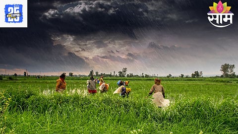 Solapur: सांगा कसं जगायचं? सोयाबीनचं पीक पाण्यात, डोळ्यात अश्रूंचा पूर; दुसरीकडे कर्ज वसुलीसाठी बँकेकडून नोटीस
