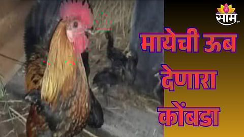punee