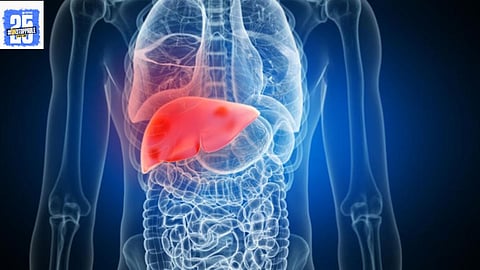 Night Awakenings at 1–3 AM Could Mean Liver Energy
