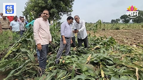 Marathwada Farmer