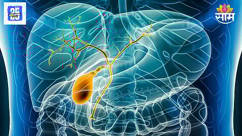 Bile duct cancer: पित्तवाहिन्यांचा कॅन्सर होण्यापूर्वी शरीर देतं 'हे' संकेत; वेळीच निदान वाचवेल तुमचा जीव