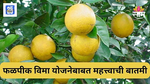 Pik Vima Yojana
