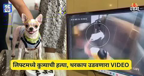 Shocking: मोलकरणीचं भयंकर कृत्य, लिफ्टमध्ये कुत्र्याला आपटून आपटून मारलं; पाहा VIDEO