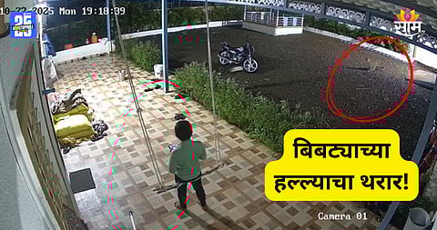 Shirur: मुलगा खेळत होता झोका, दबक्या पावलाने बिबट्या आला; हल्ल्यात चिमुकला बचावला; थरकाप उडवणारा VIDEO
