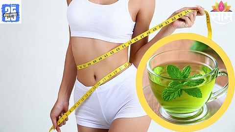 green tea benefits