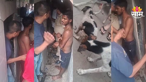 Puppy sexual assault case in Mumbai Malad