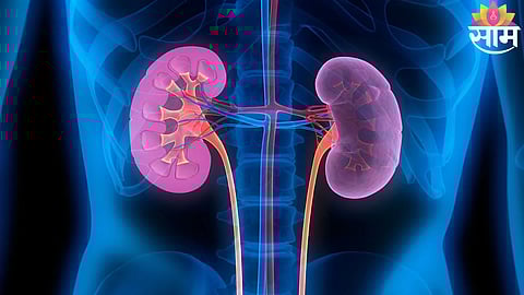 Kidney Failure Reasons